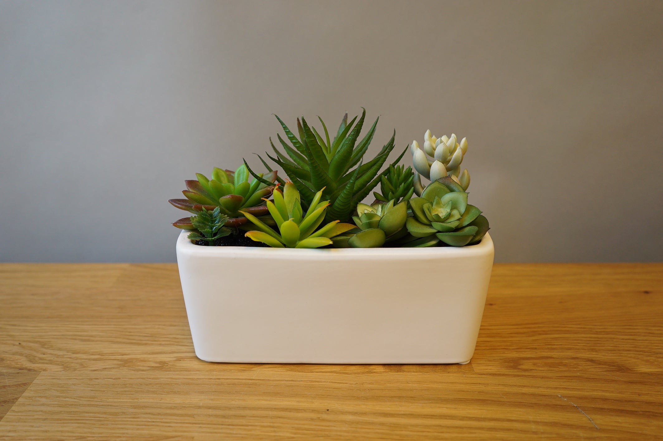 Faux Succulent Planter