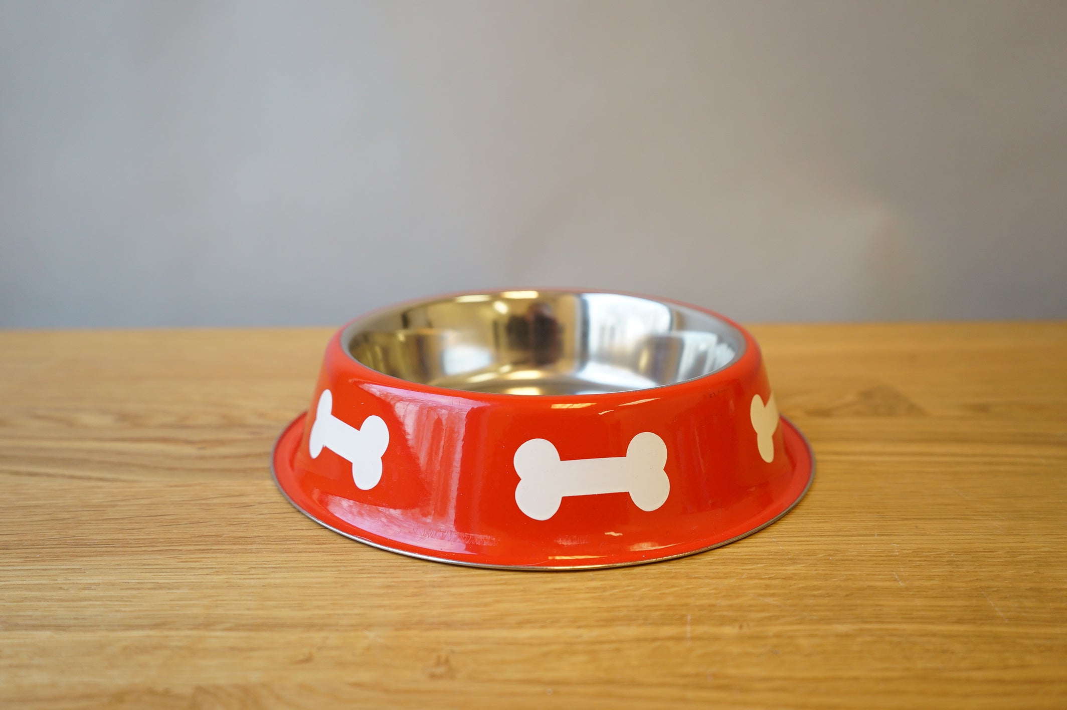 Dog Bowl