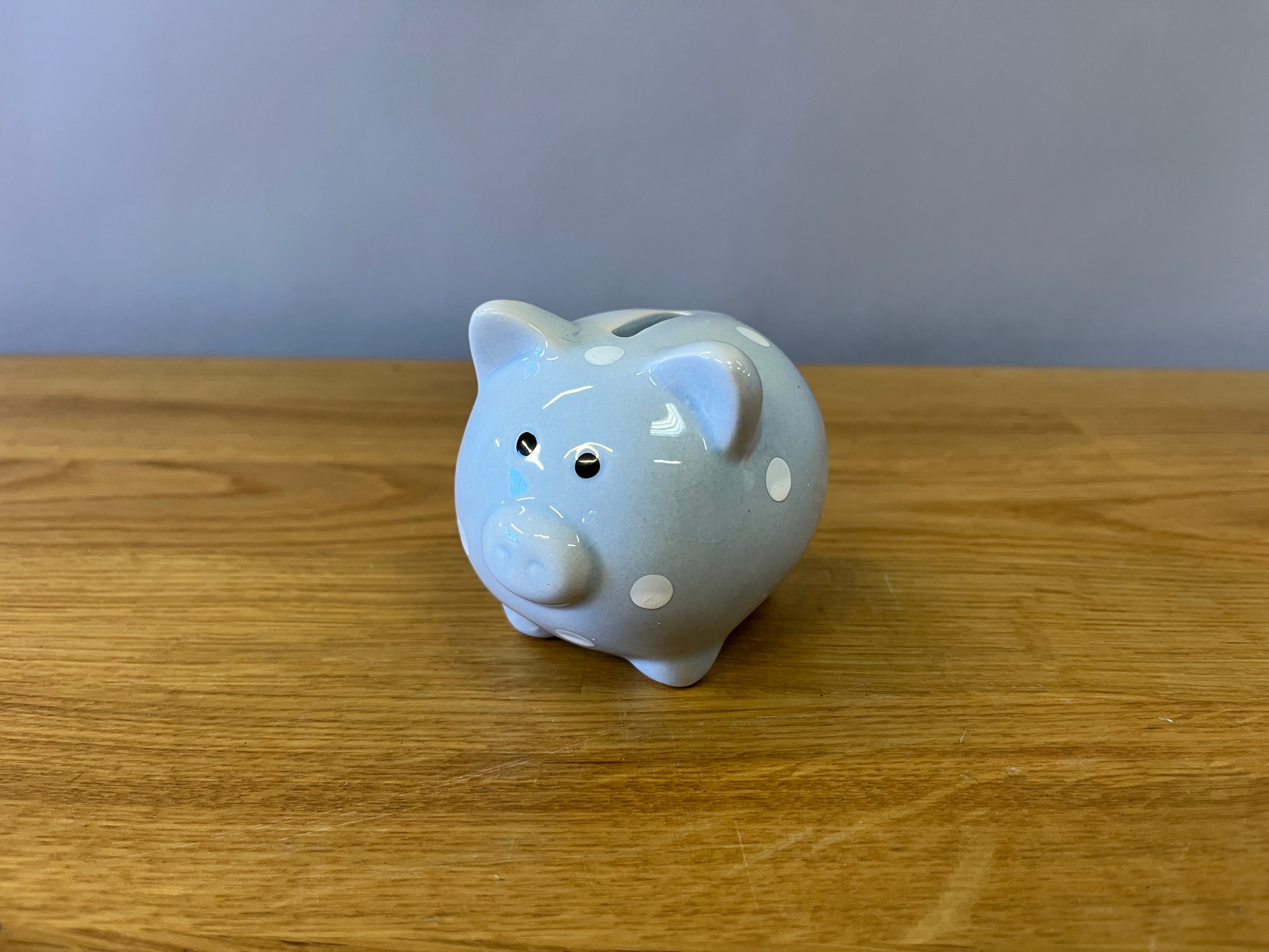 Blue Piggy Bank