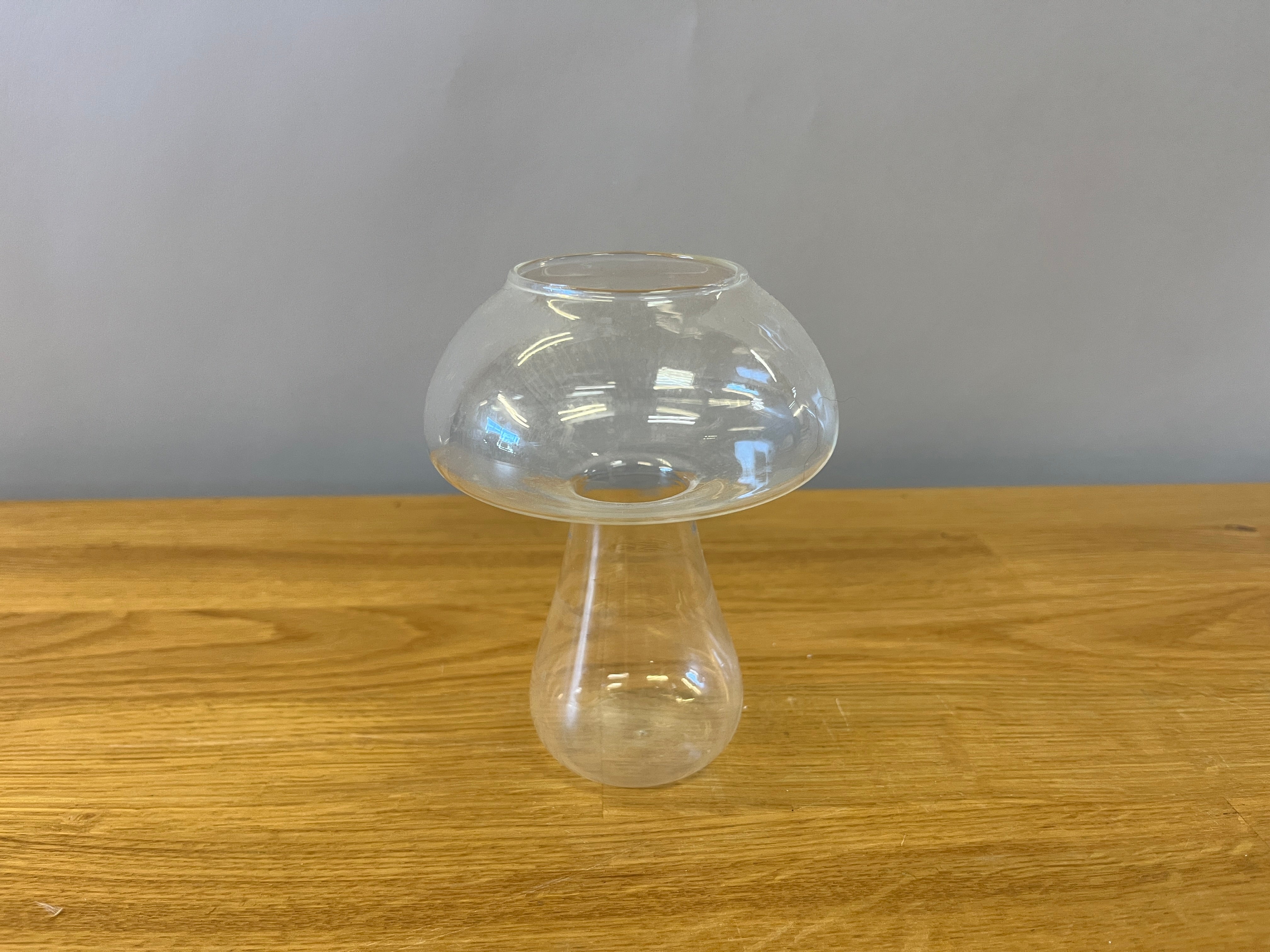 Glass Mushroom