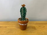 Stained glass cactus in terracotta pot with pebbles