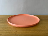 Pink melamine dinner plate