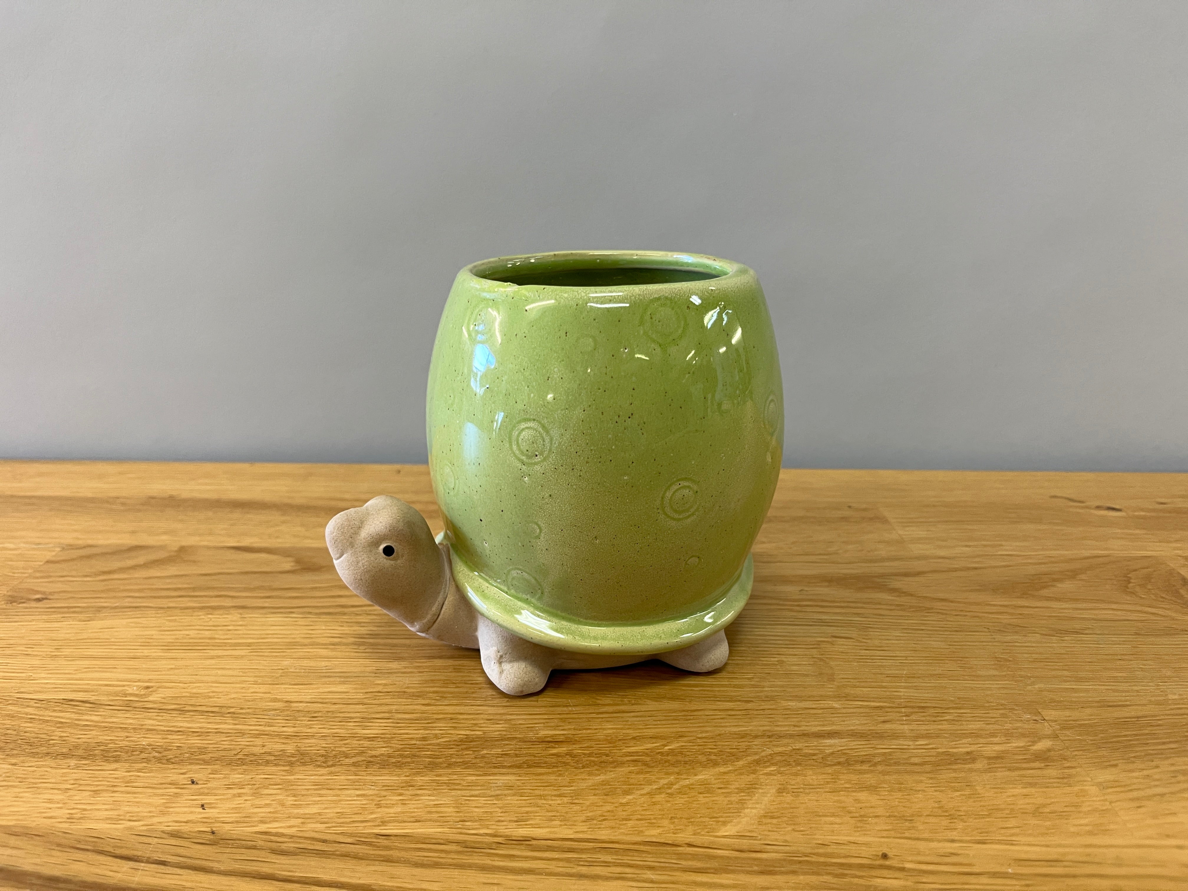 Green Turtle Plant Pot