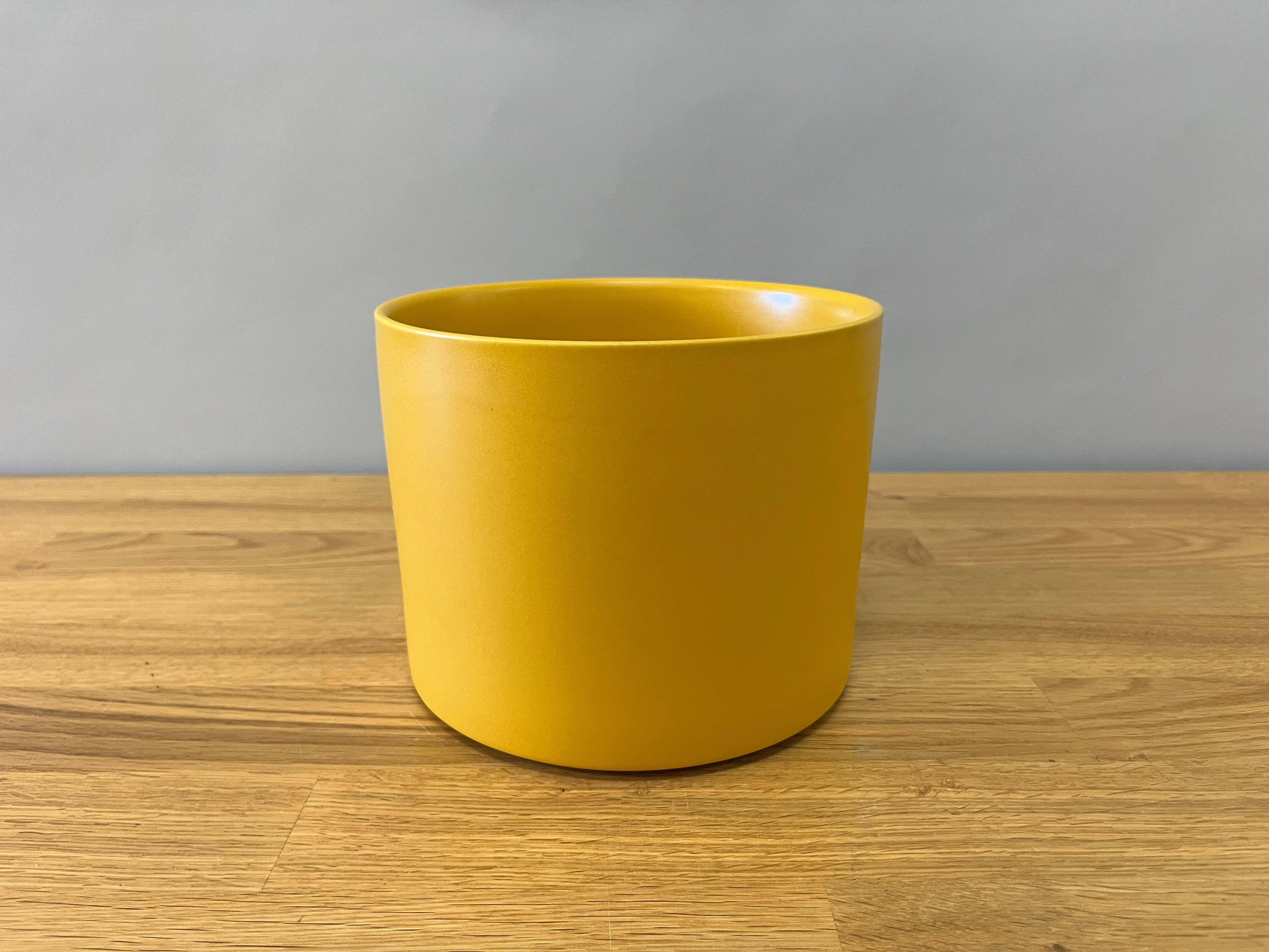 Yellow Plant Pot