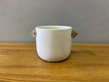 Plant Pot
