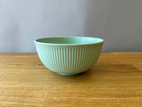 Light Green Plastic Bowl