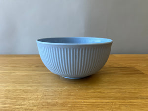 Light Blue Plastic Bowl