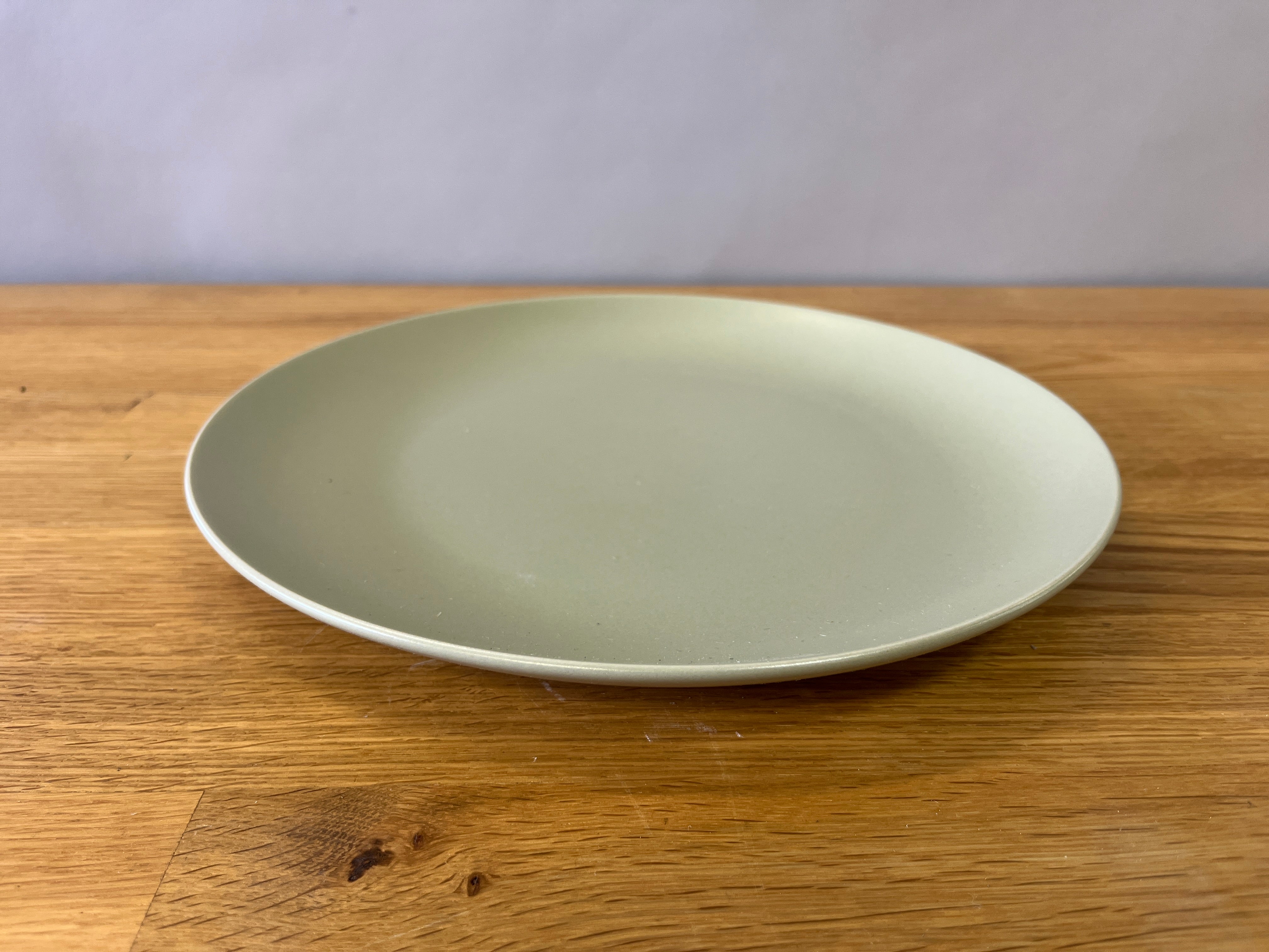 Light Green Dinner Plate