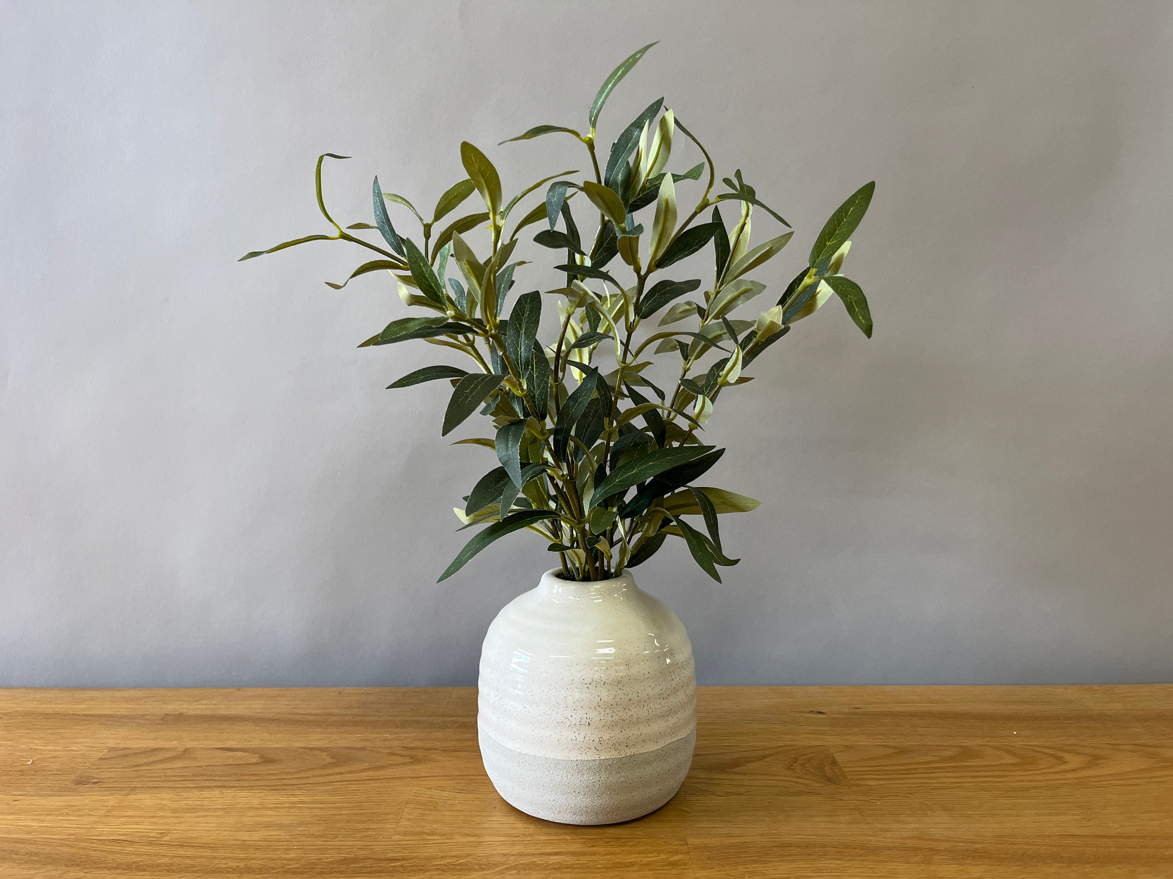 Faux Olive Plant in Pot