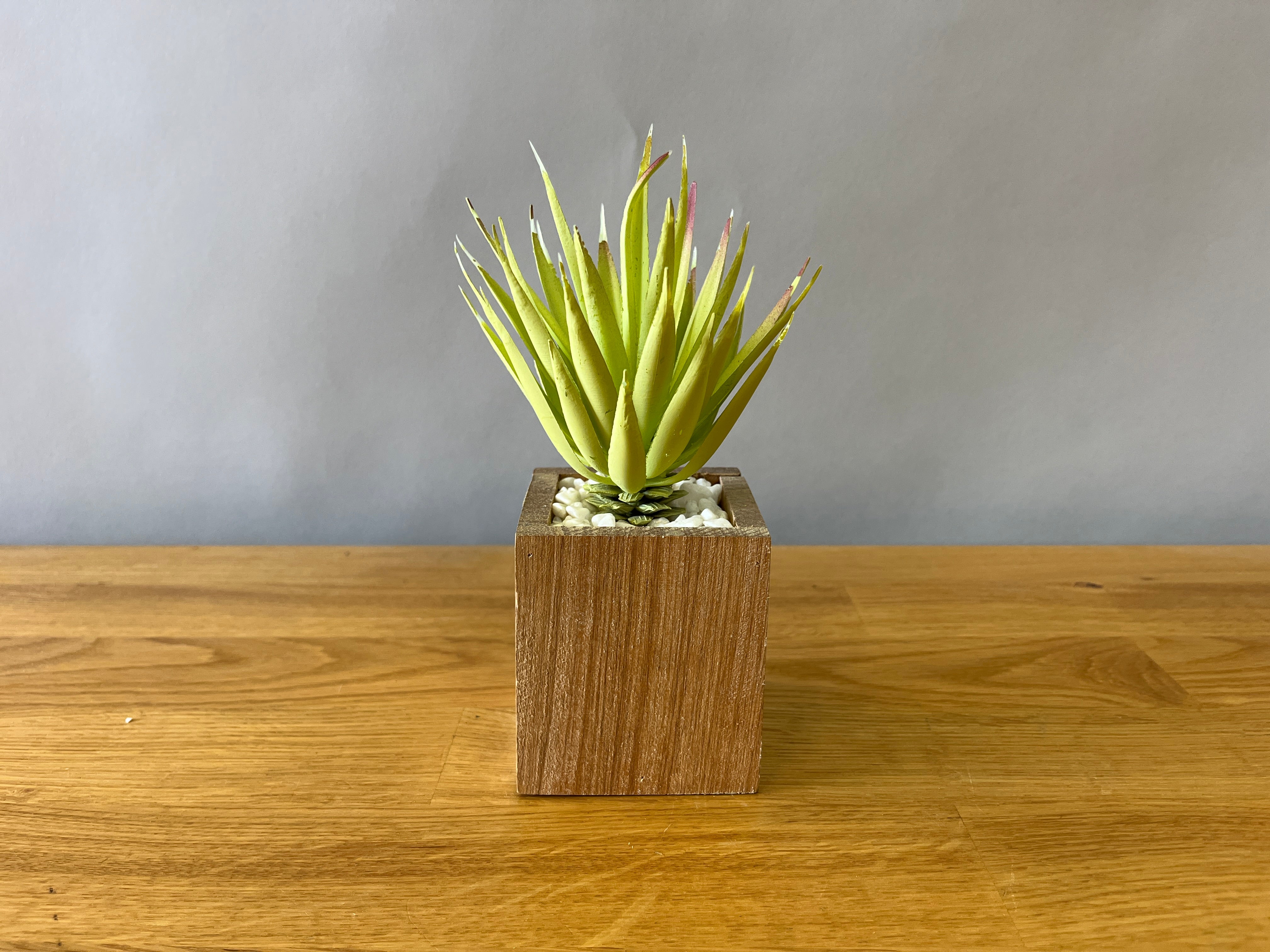 Faux Succulent