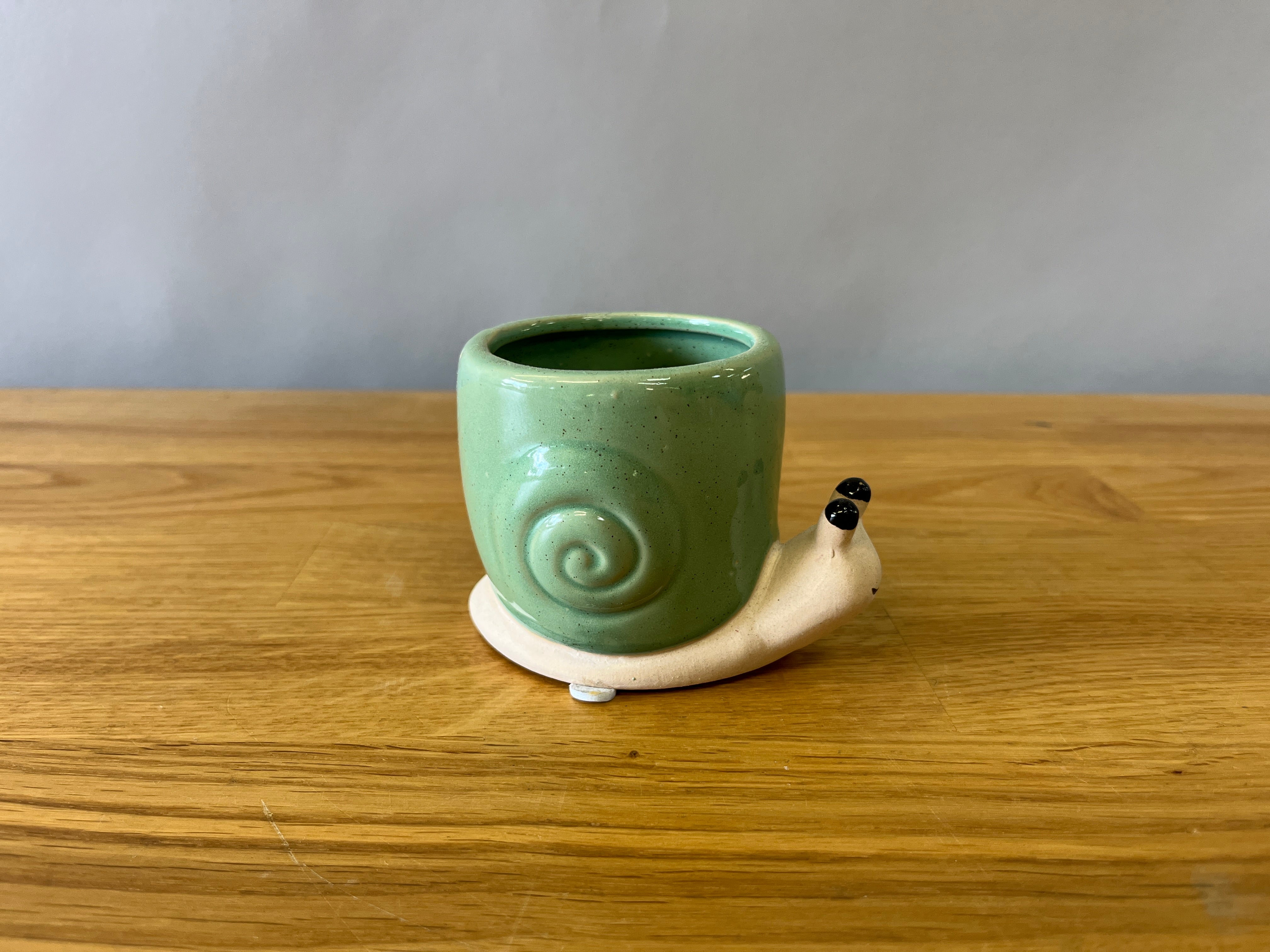 Snail Plant Pot
