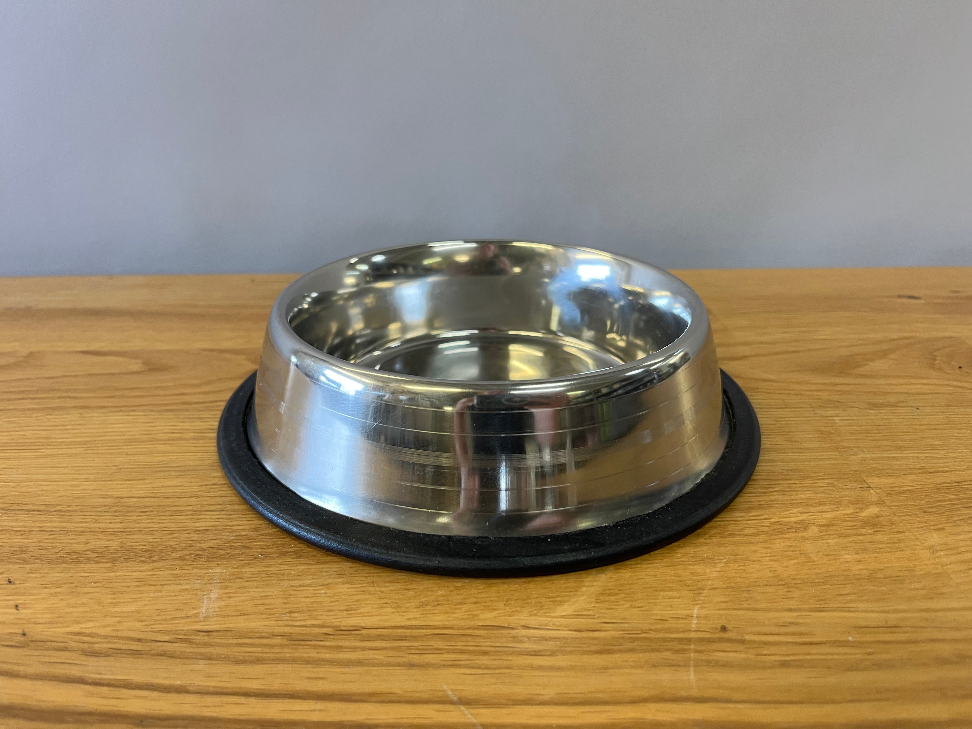 Small Silver Dog Bowl