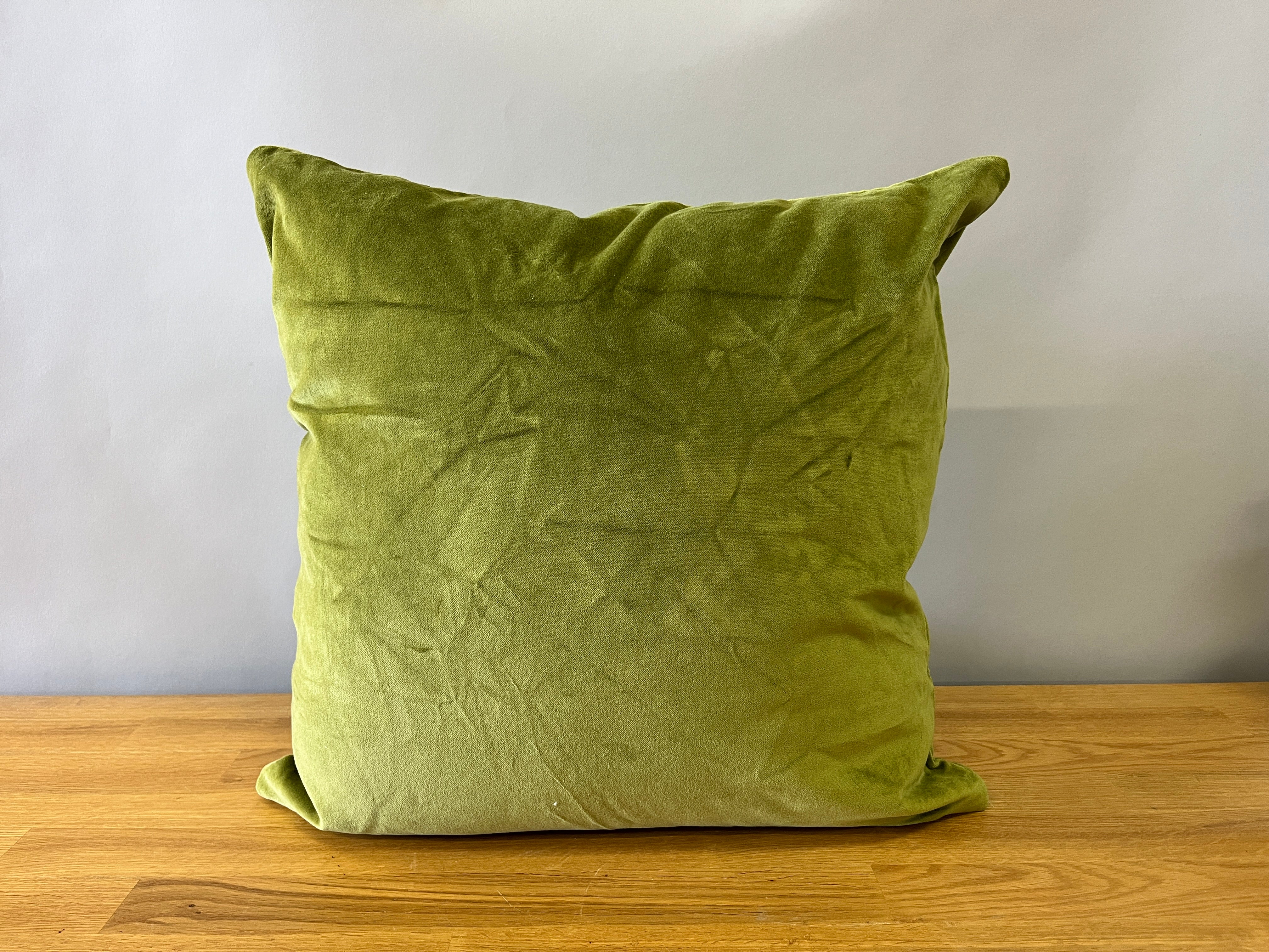 Green Velvet Pillow