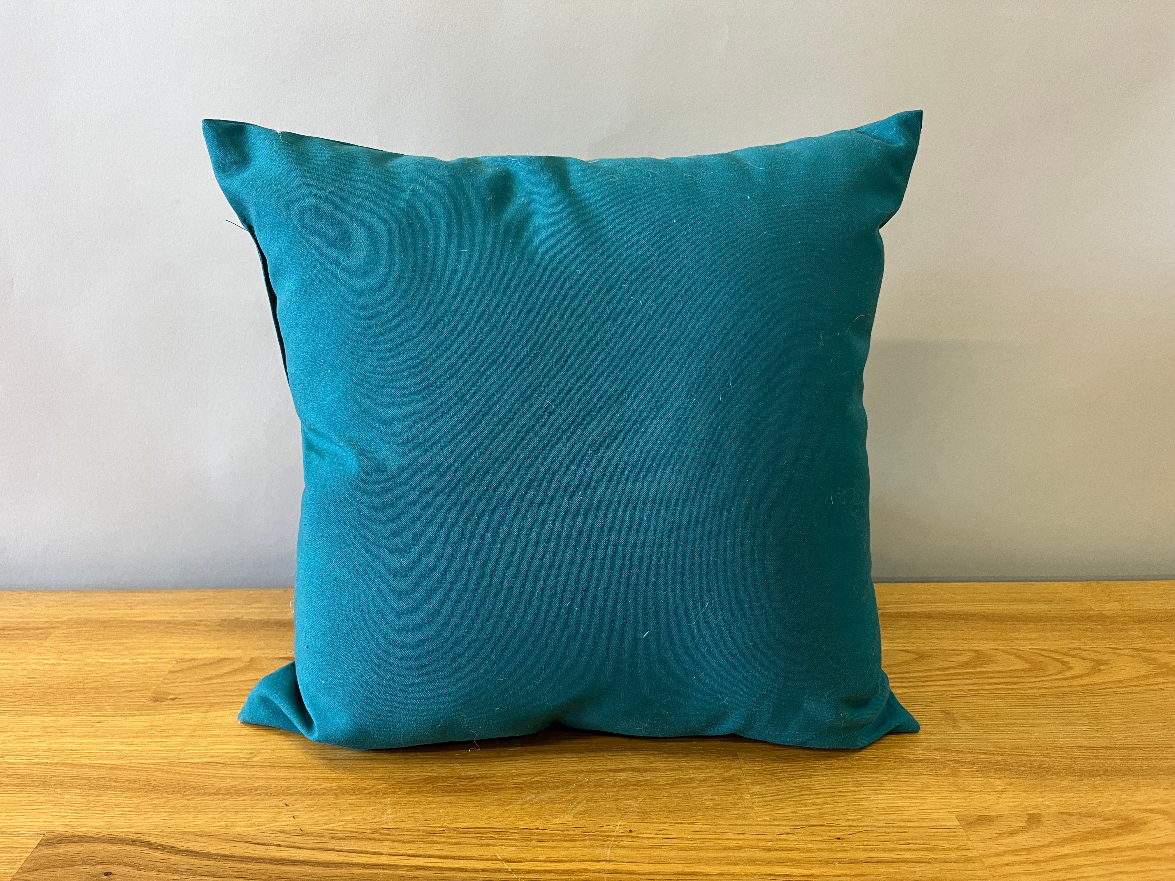 Teal Patio Pillow