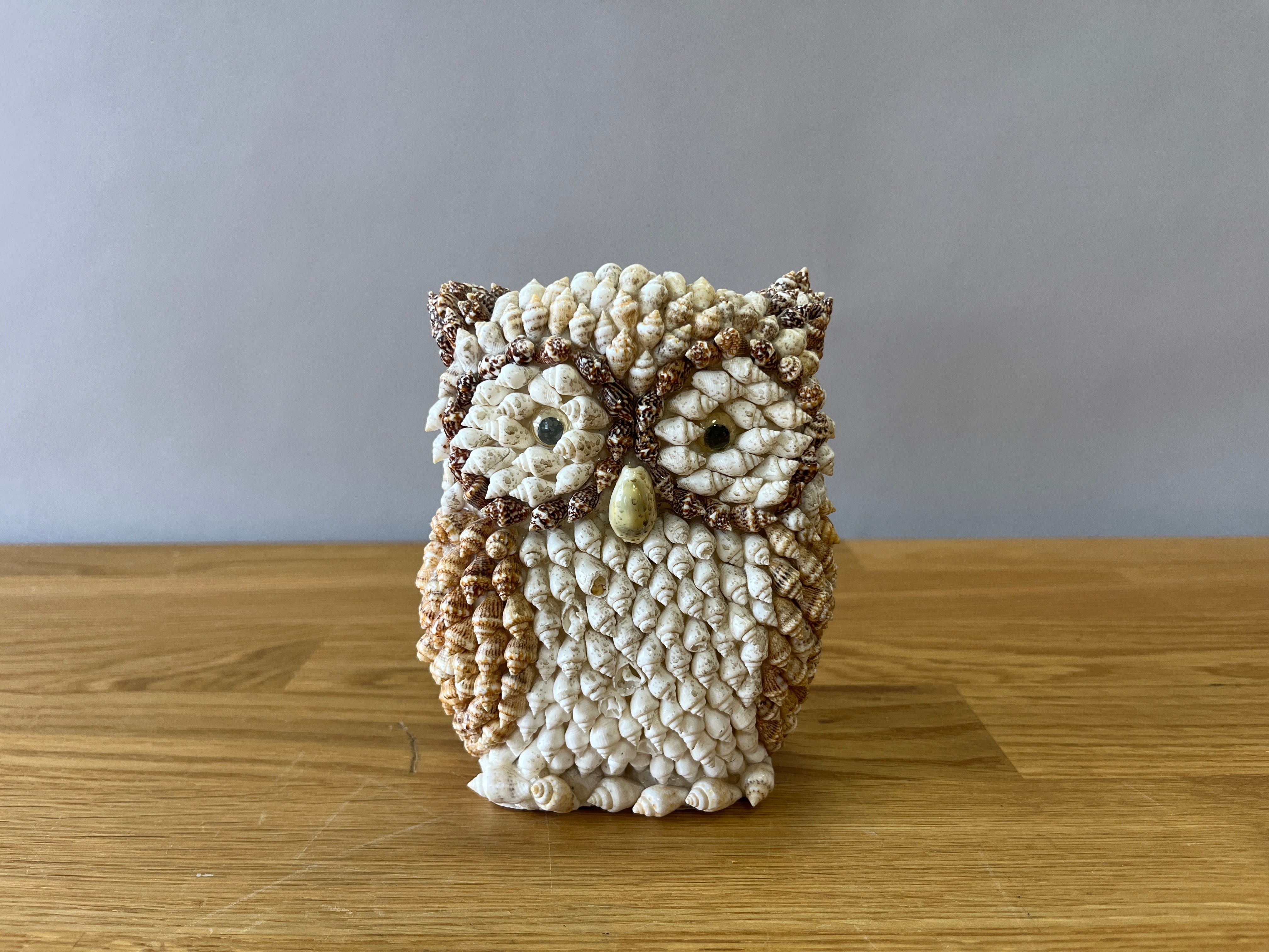 Seashell Owl