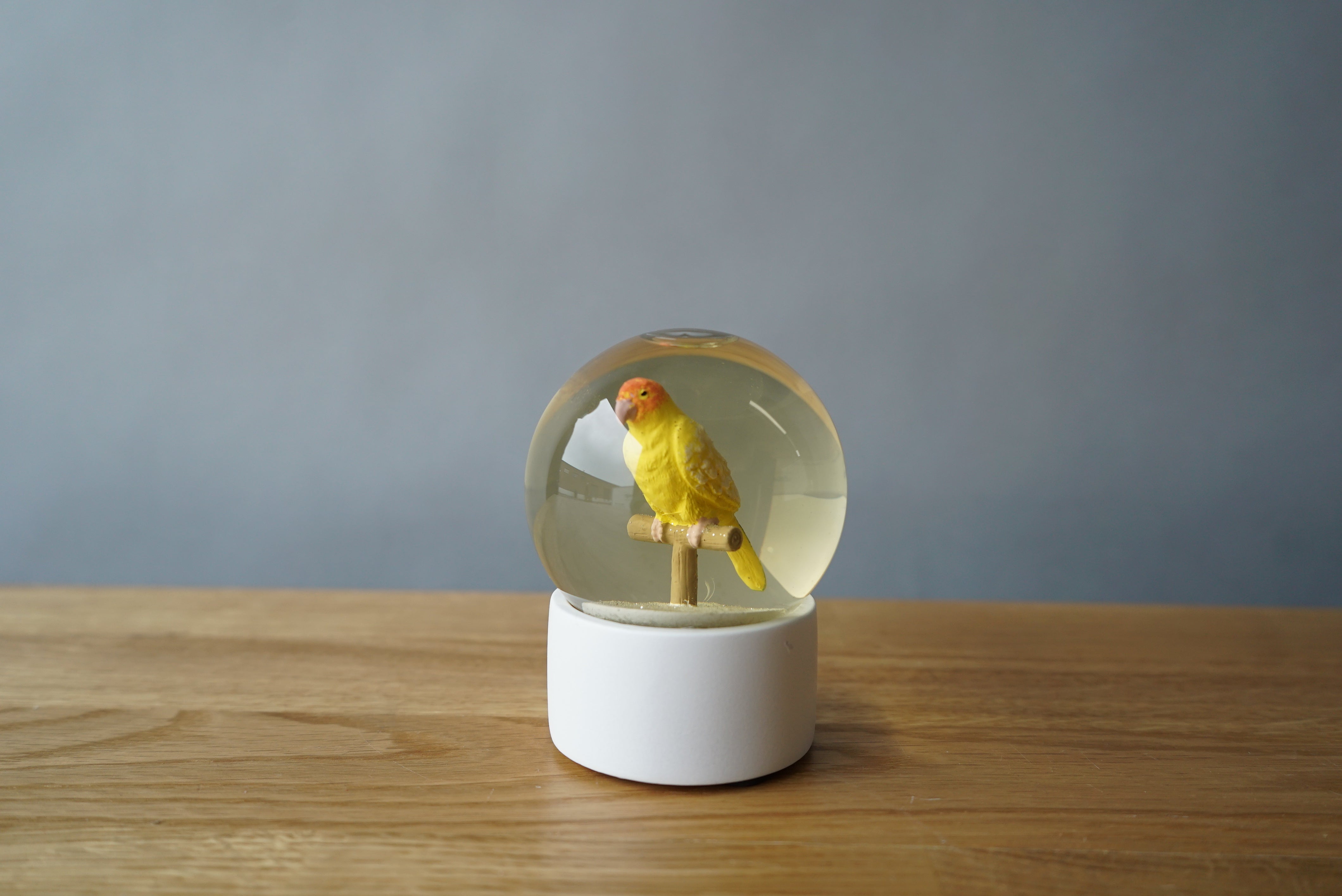 Snowglobe