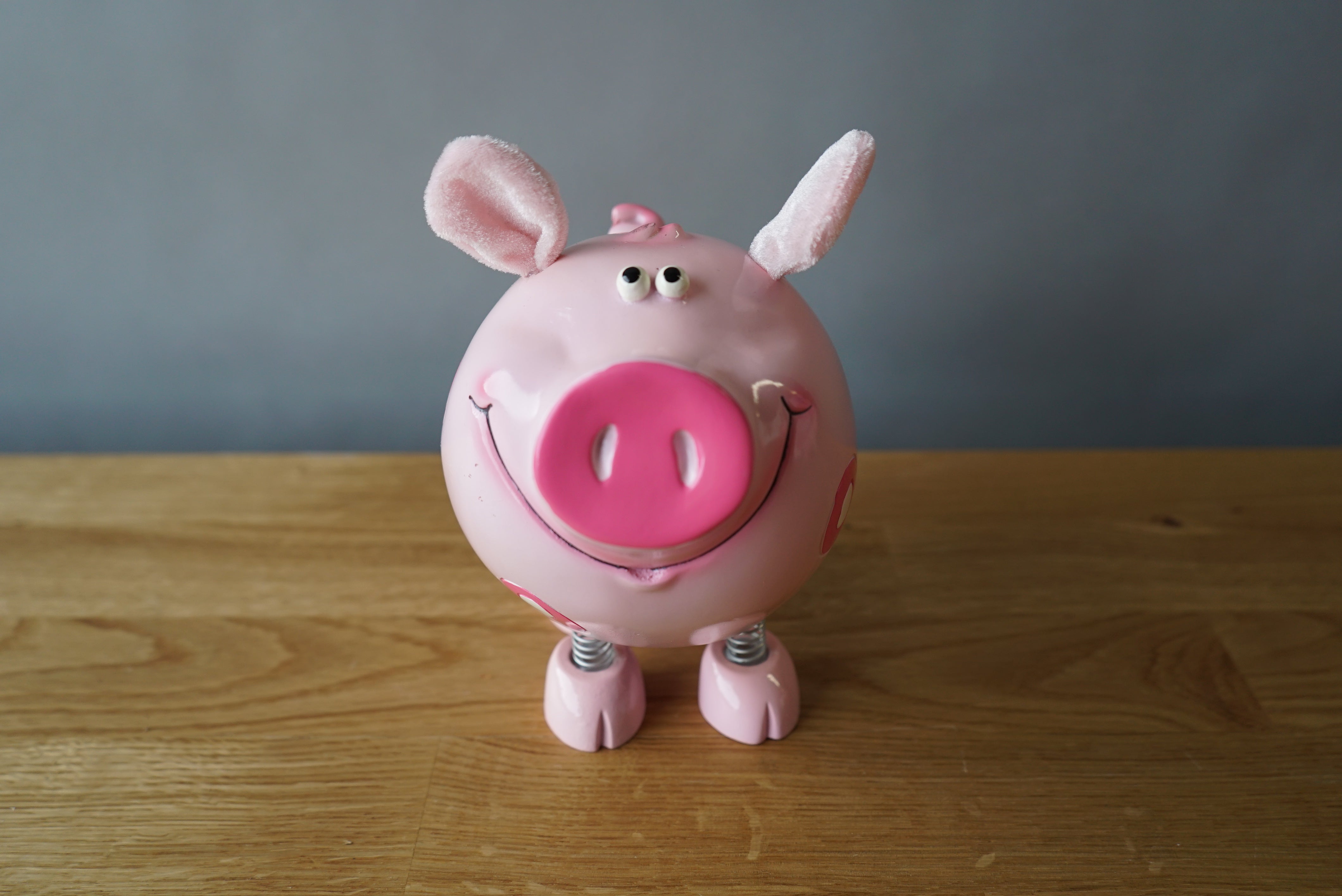 Pig Piggybank