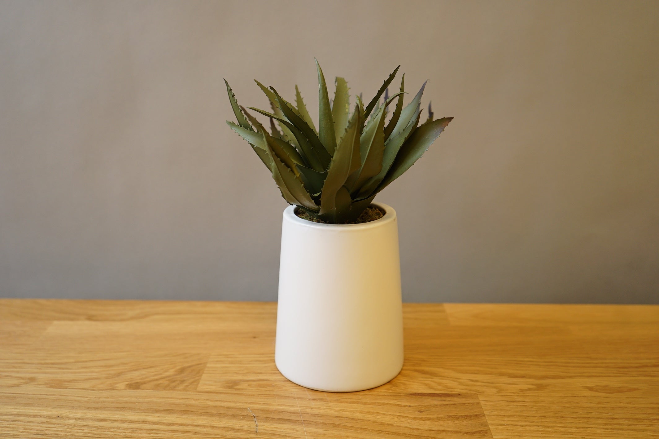 Faux Aloe Plant