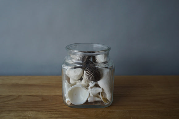 Jar of Shells