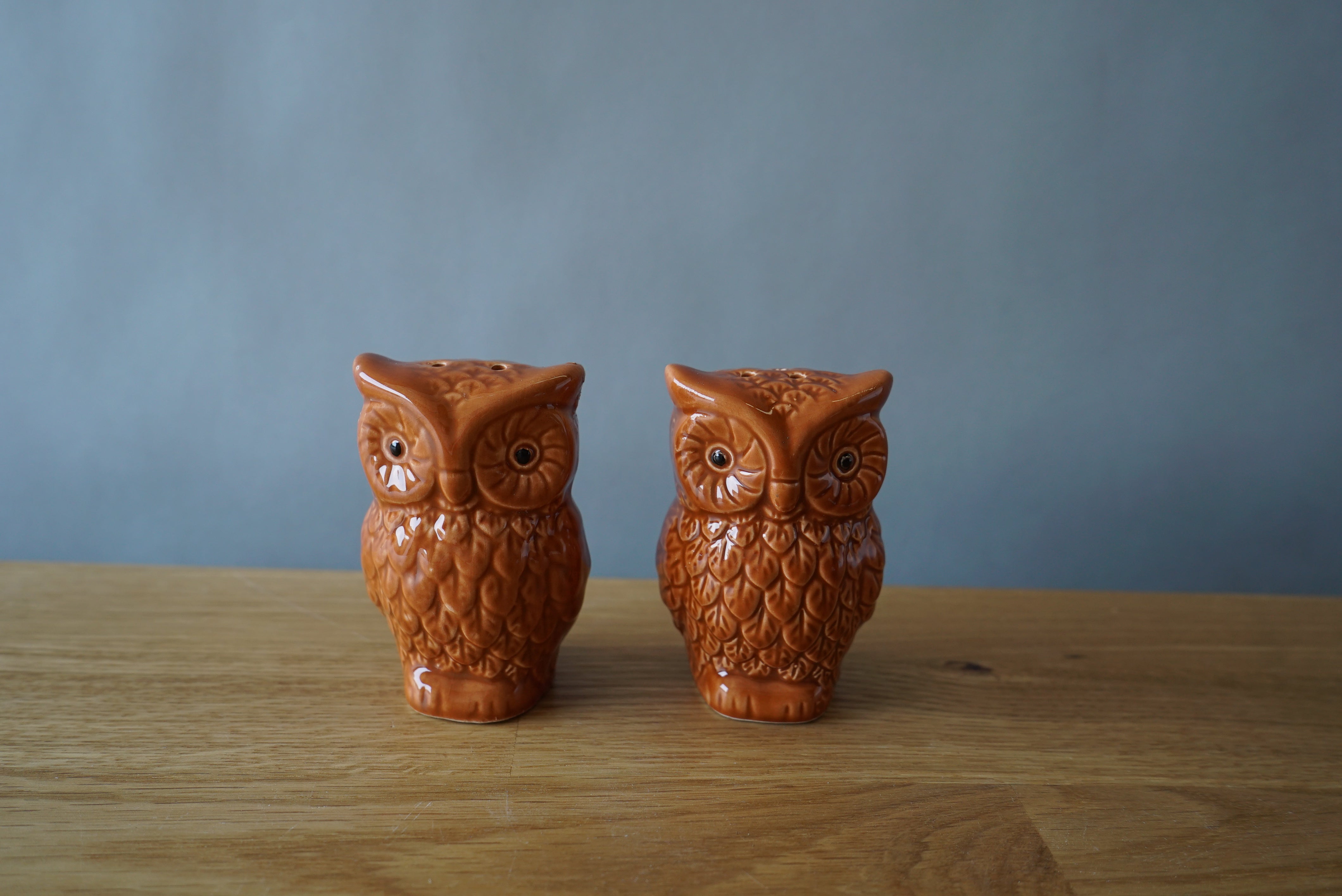 Owl Salt and Pepper Shakers