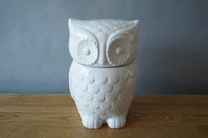 Owl Cookie Jar