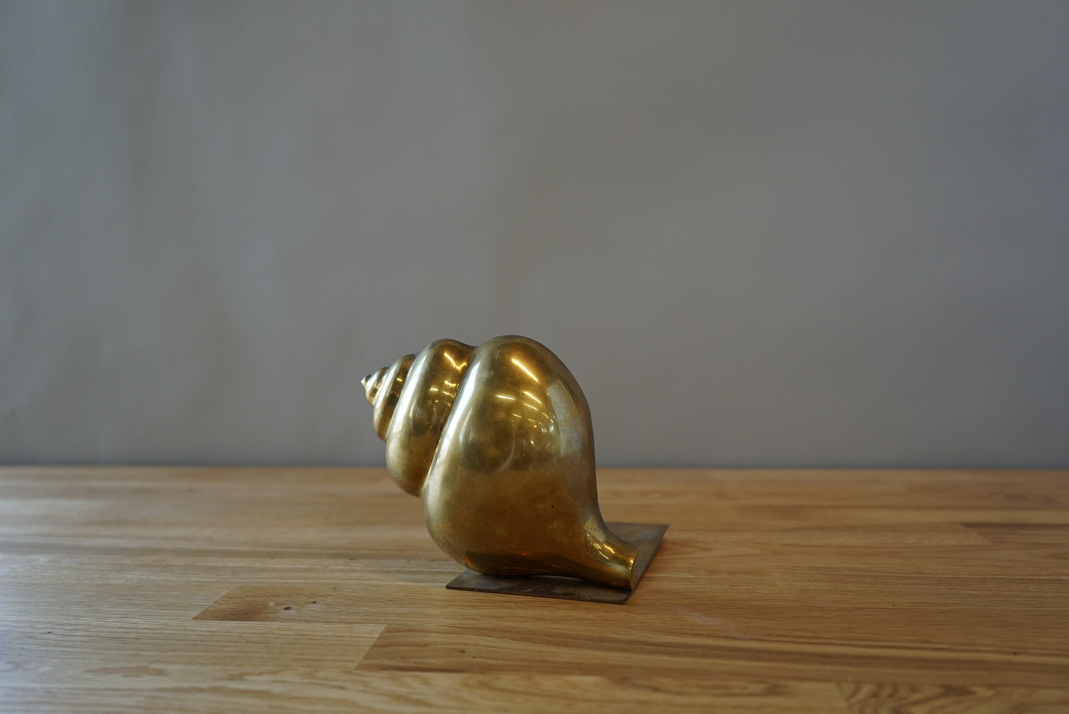 Shell Bookend