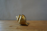 Shell Bookend