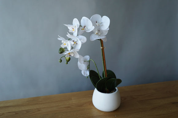 Faux Orchid