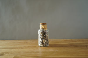 Jar with Shells