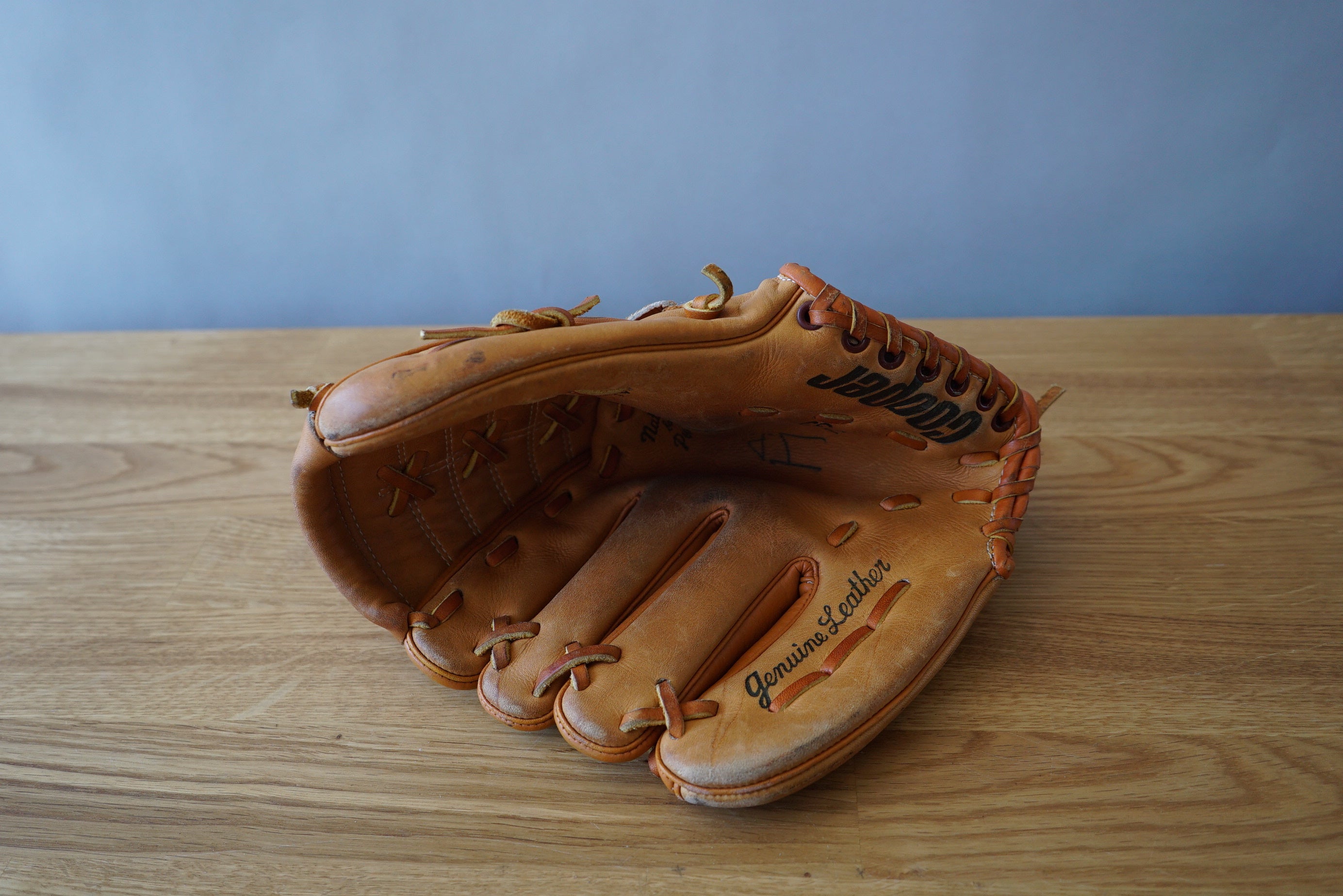 Baseball Glove