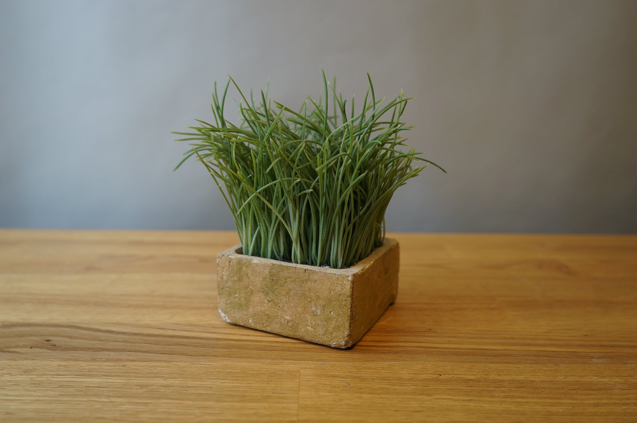Square Faux Plant