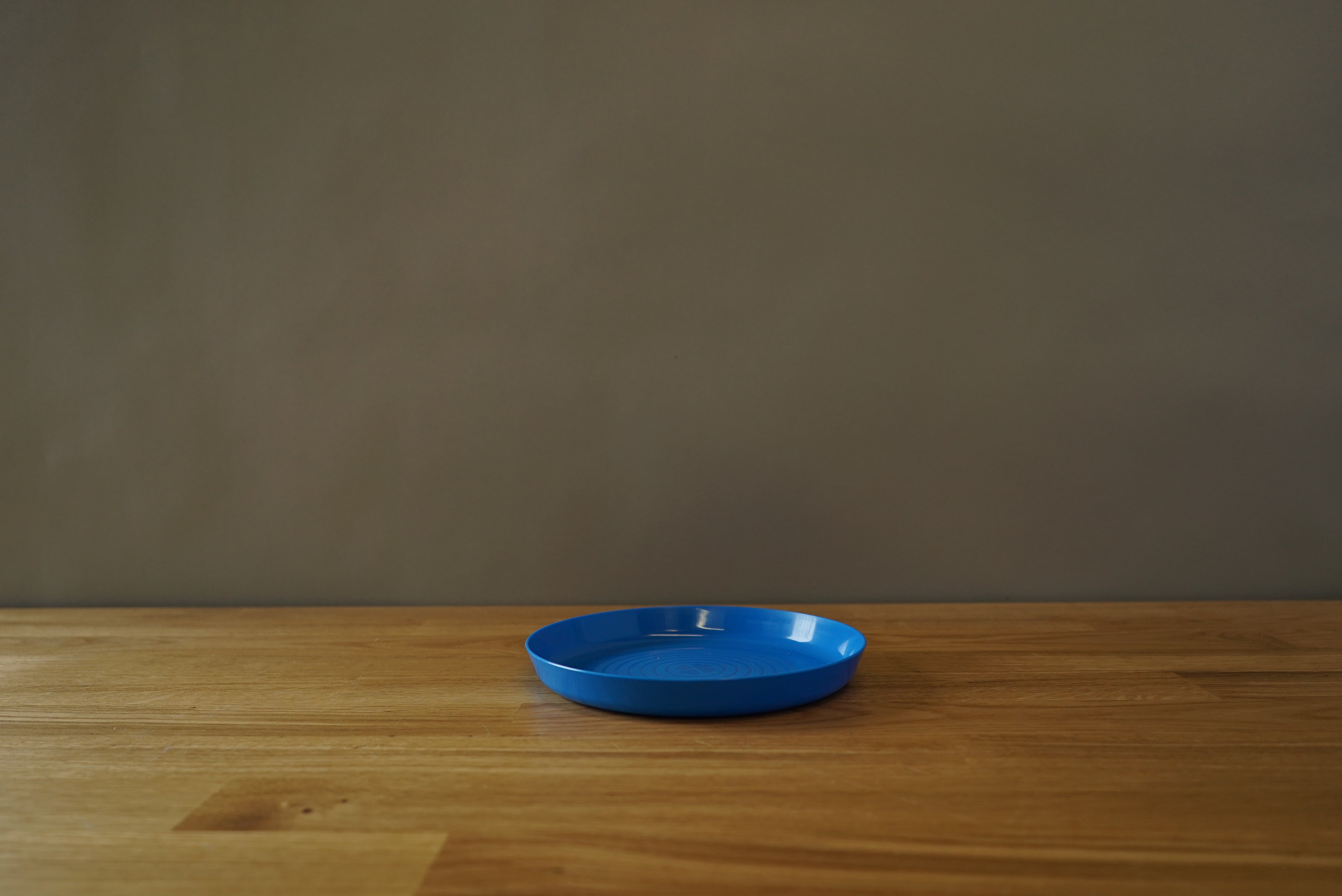 Child Plate- Blue