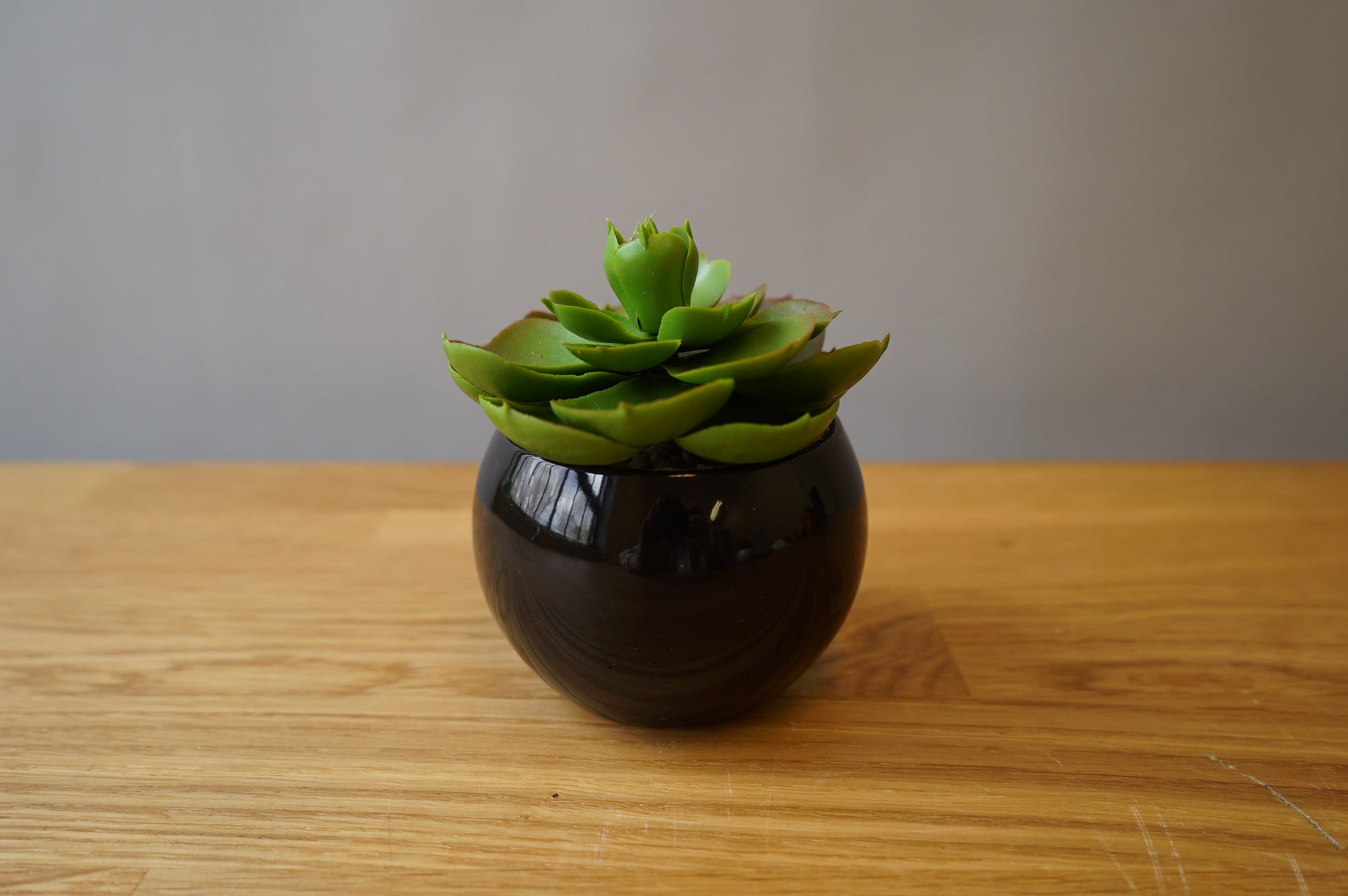 Faux Pot with Black Pot