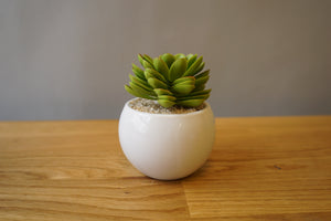 Faux Plant with White Pot