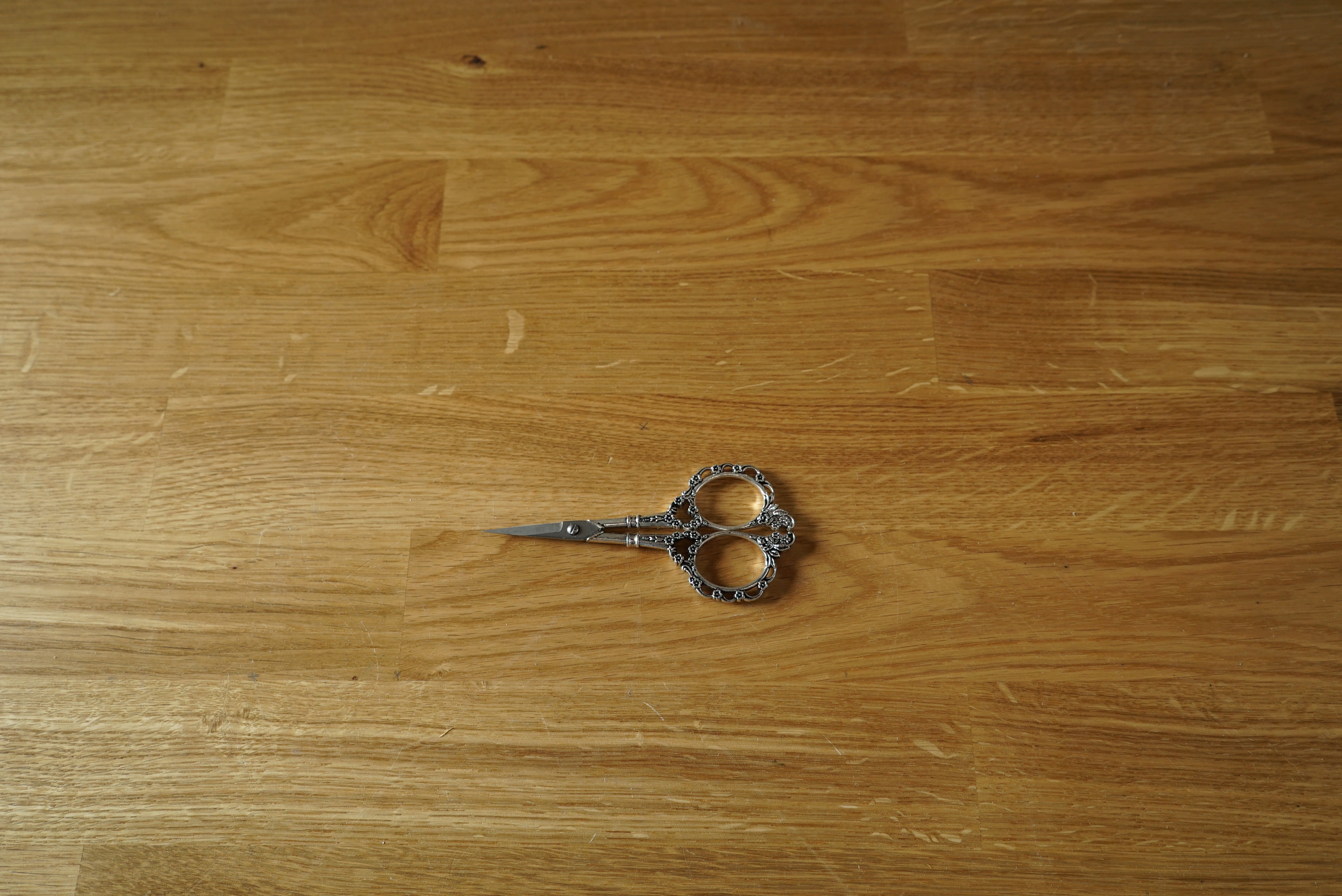 Silver Scissors