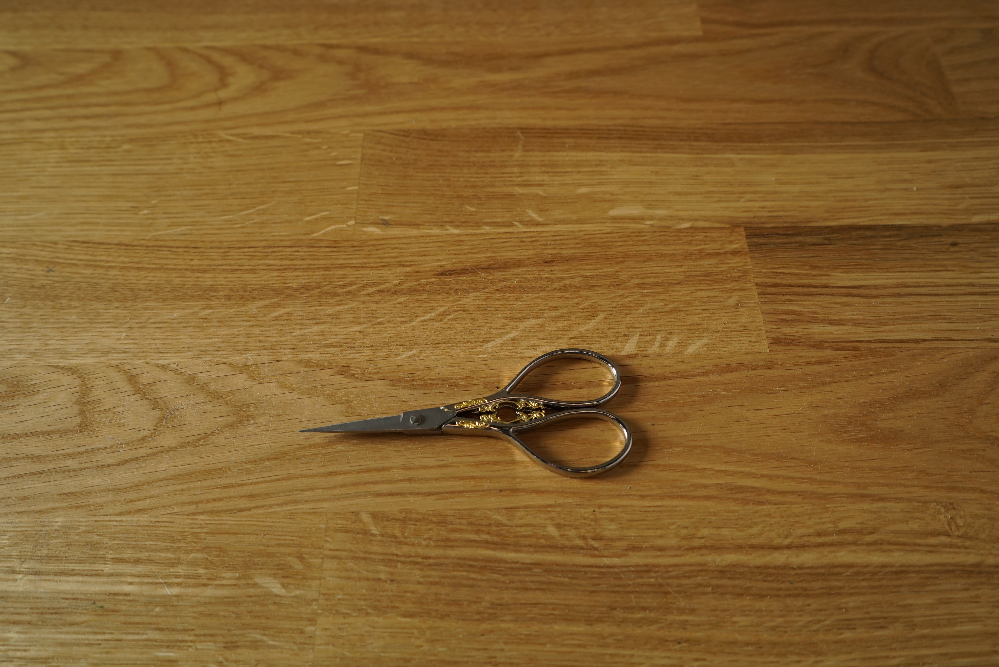 Silver Scissors