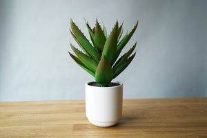 Faux Plant