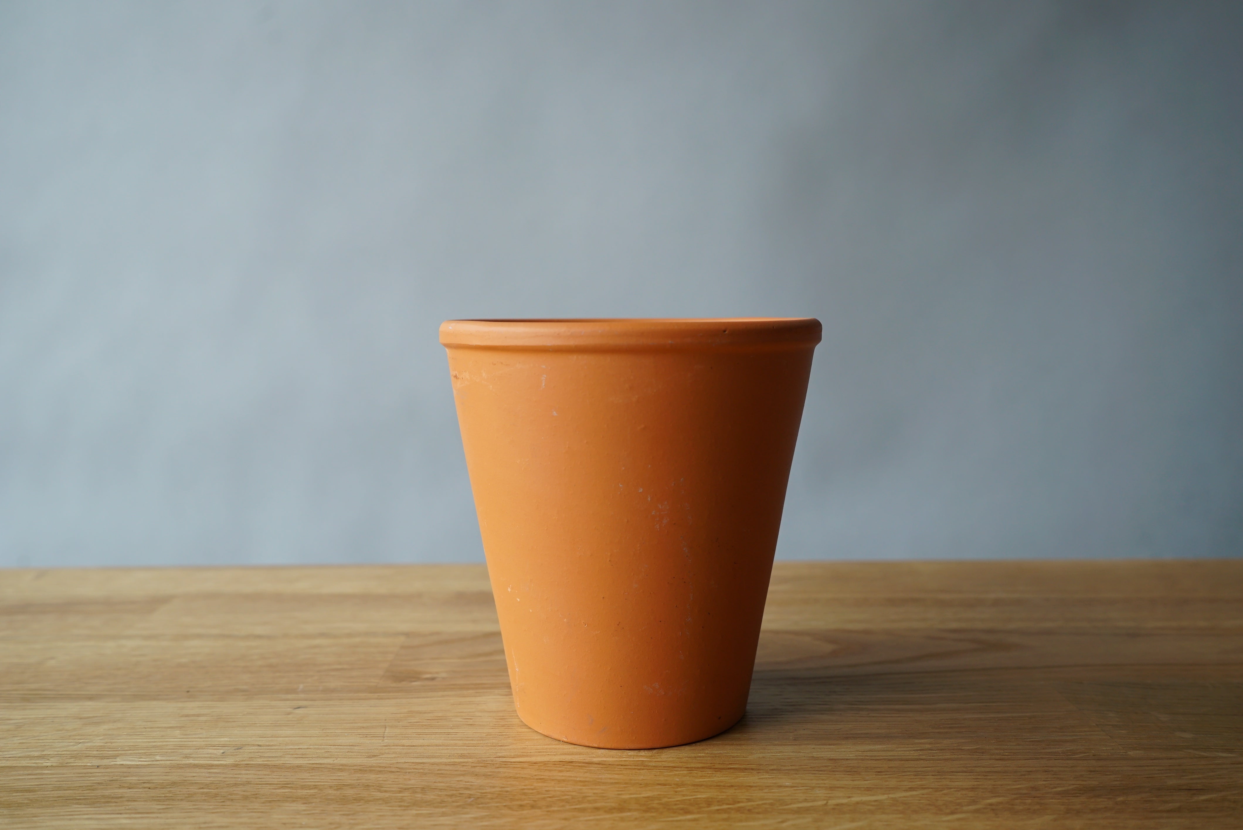 Plant Pot