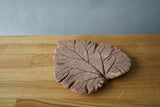 Large Stone Leaf