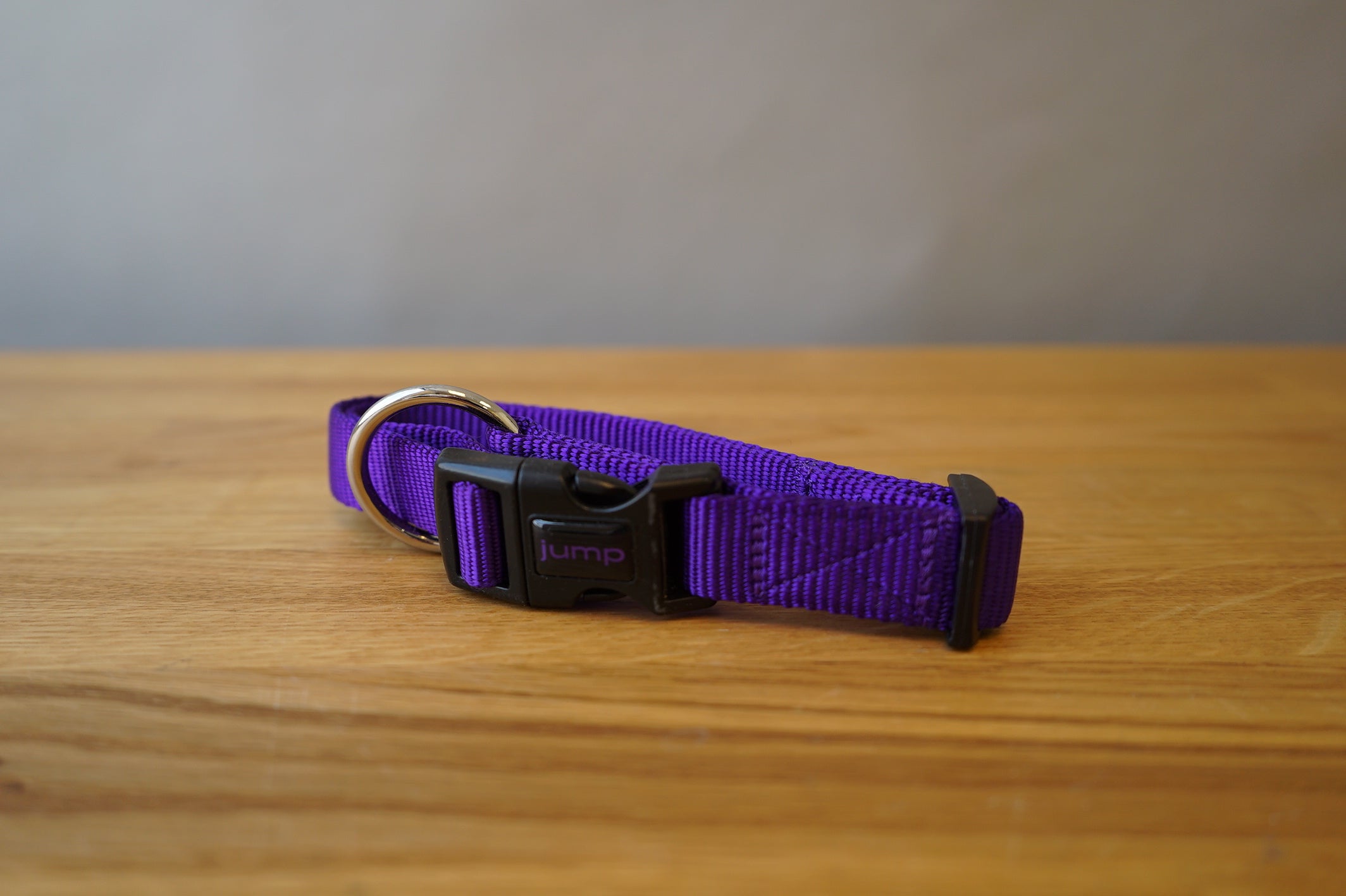 Purple Dog Collar